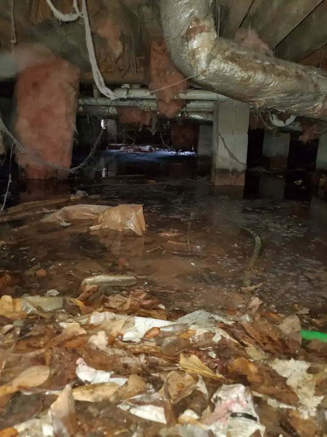 Crawl space flood assessment for Leak Detection & Repair in Chena Ridge